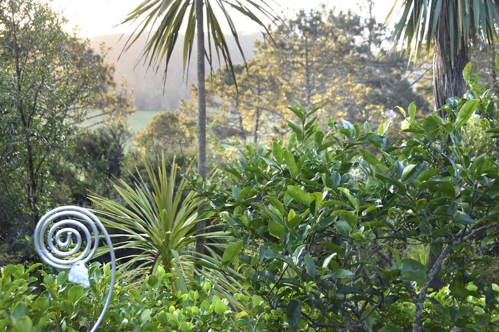 Ponga Eco-Lodge ハヘイ エクステリア 写真