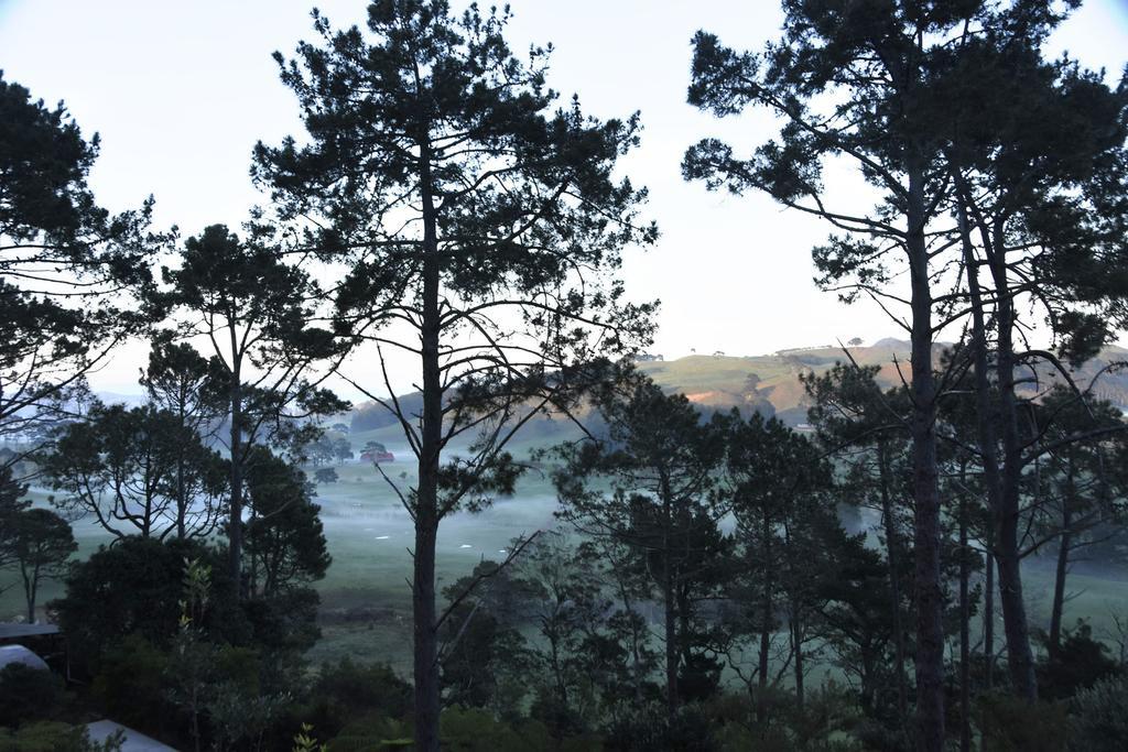 Ponga Eco-Lodge ハヘイ エクステリア 写真